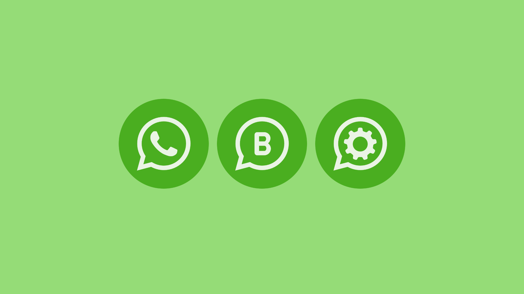 WhatsApp Business x WhatsApp API x WhatsApp CoEx: qual faz sentido para cada tipo de empresa?